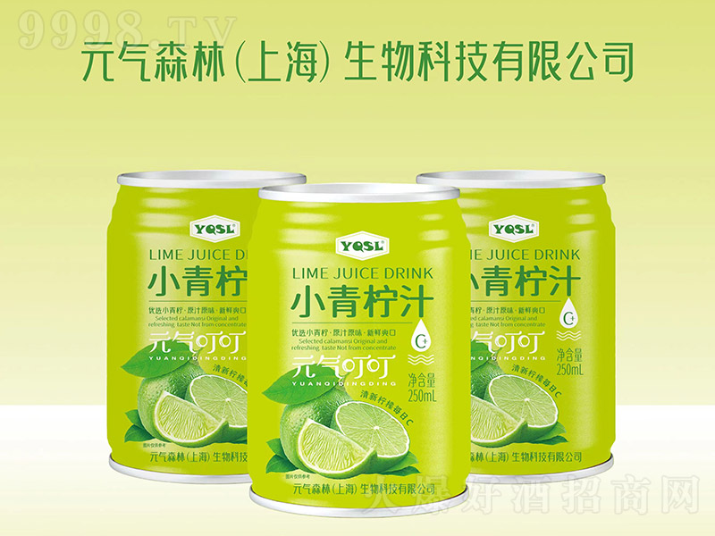 YQSLС֭Ԫⶣ250ml-Ϣ