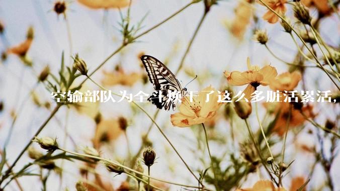 空输部队为全斗焕干了这么多脏活累活，士兵有没有什么优待？