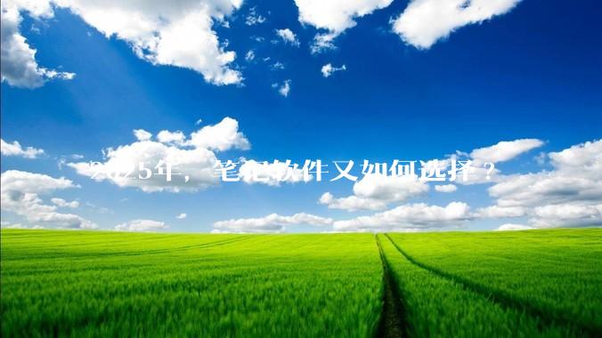 2025年，笔记软件又如何选择?